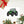 The Tractor Mugs Store Deutz - Fahr Agrotron 7250 Ttv | Sticker sheet Quality Farmers Merch