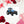 The Tractor Mugs Store Landini Starland 240 | Sticker sheet Quality Farmers Merch