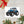 The Tractor Mugs Store New Holland The 7040-1 | Sticker sheet Quality Farmers Merch