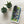The Tractor Mugs Store Samsung Galaxy S23 Plus Ford '000 Series Advert | Tough case for Samsung® Quality Farmers Merch