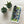 The Tractor Mugs Store Samsung Galaxy S24 Plus Ford '000 Series Advert | Tough case for Samsung® Quality Farmers Merch