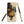 MUIR Tough case for Samsung® – Tractor Mugs
